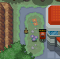 Second Meowth to the left of the Pokémon Center in Pewter City.