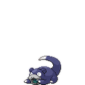 Shadow Slowpoke