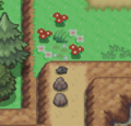 Rhyhorn on the right side of the upper ledge on the southeastern part of Route 3.