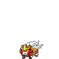April Fools Entei (Bidoof)