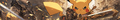 Thumbnail for version as of 01:14, 26 December 2023