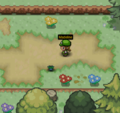 Oddish south of the Madeline NPC in Viridian City.