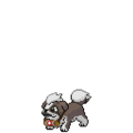 Christmas Growlithe